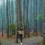 Hutan Pinus Mangunan Imogiri