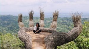 Lokasi dan Harga Tiket Masuk Hutan Pinus Pengger Yogyakarta