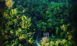 Panorama Wisata Gunung Ijo Kulonprogo