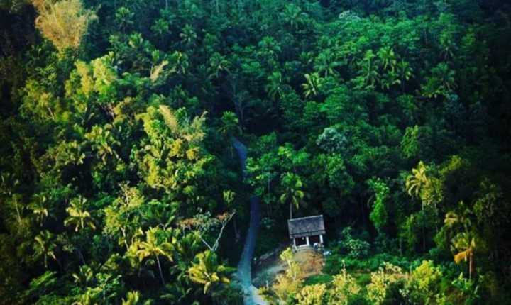 wisata gunung ijo kulon progo