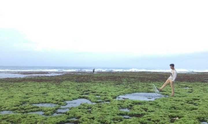 Gambar Pantai Pok Tunggal Beach Wonosari Jogja