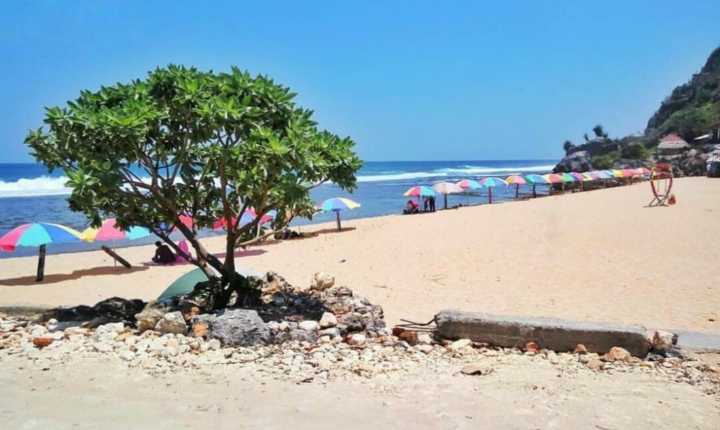 tiket masuk pantai pok tunggal