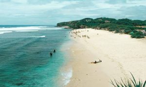 Serunya Camping Di Pantai Watu Kodok Jogja