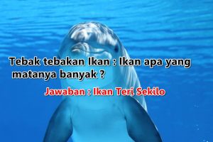 tebak tebakan gambar dan jawabannya