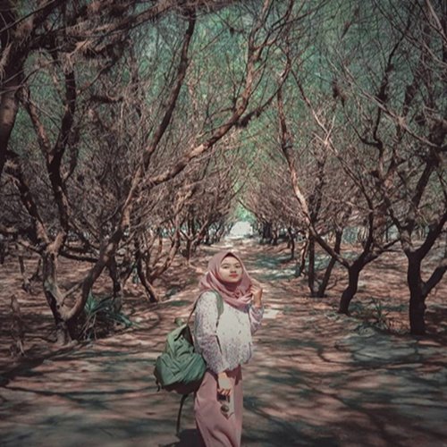 Pantai Cemara Sewu Favorit Instagramble