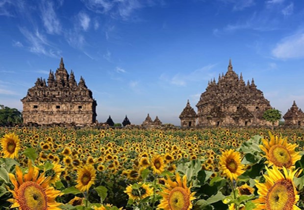 candi plaosan klaten