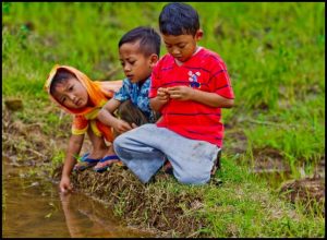 Cara Mudah Mancing Belut