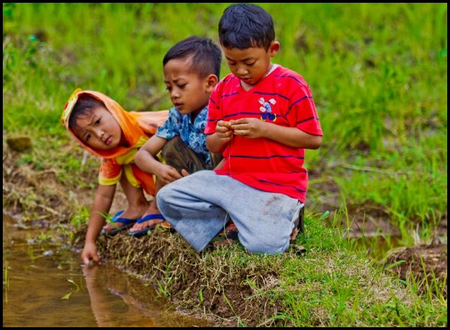 mancing belut