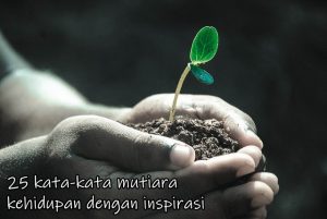 25 kata-kata mutiara kehidupan dengan inspirasi